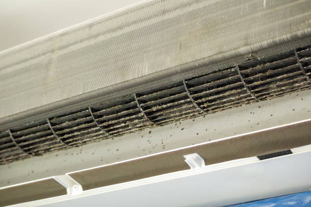 Best HVAC System Cleaning  in Kountze, TX